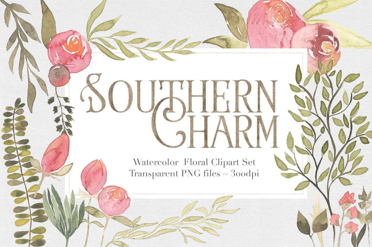 迷人的南方花卉剪贴画集 Southern Charm Flo