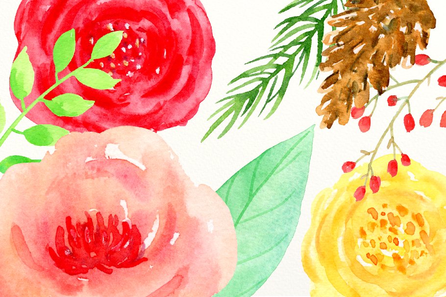 水彩圣诞节花卉插画元素 Watercolor Clipart
