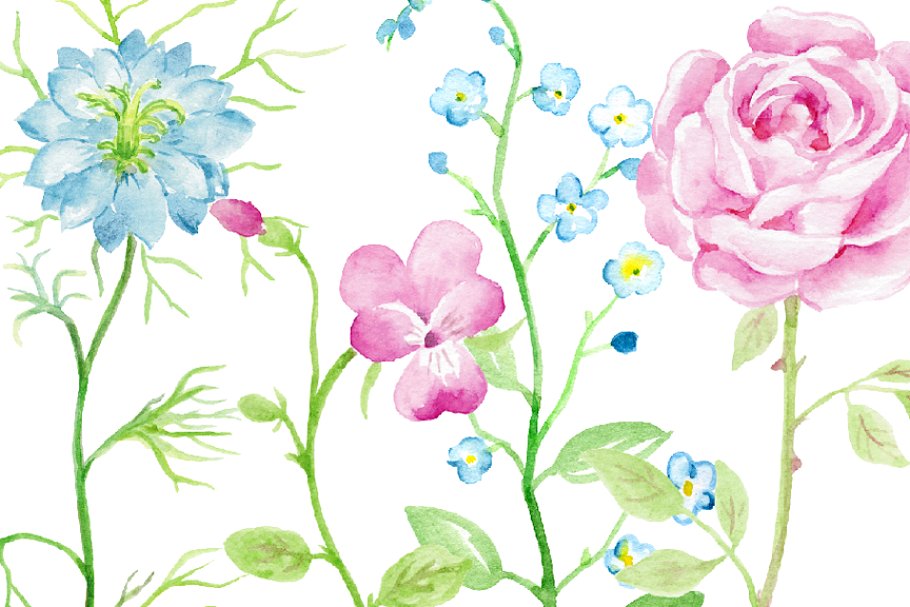 夏天水彩花卉剪贴画 Watercolor Clipart S