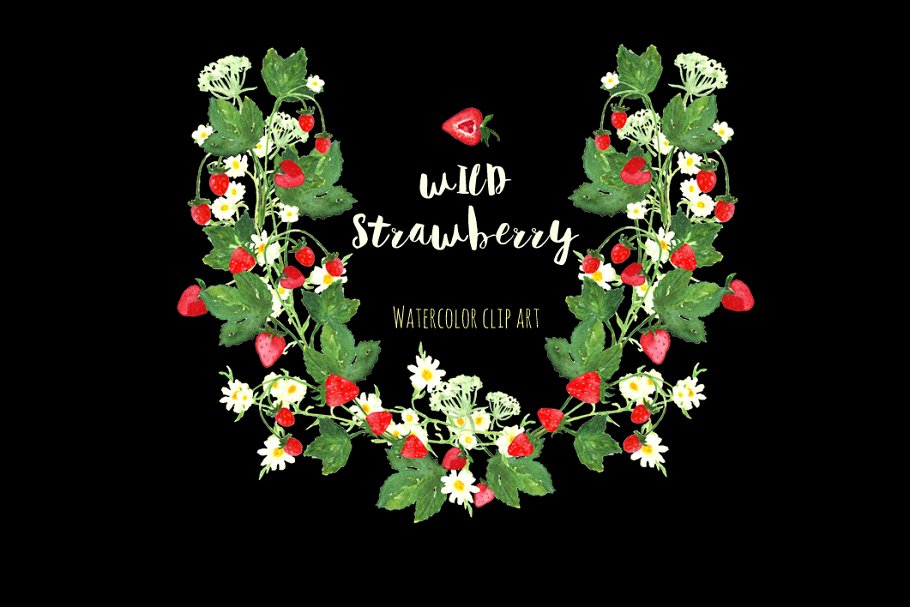 野草莓水彩花卉剪贴画 Wild strawberry wat