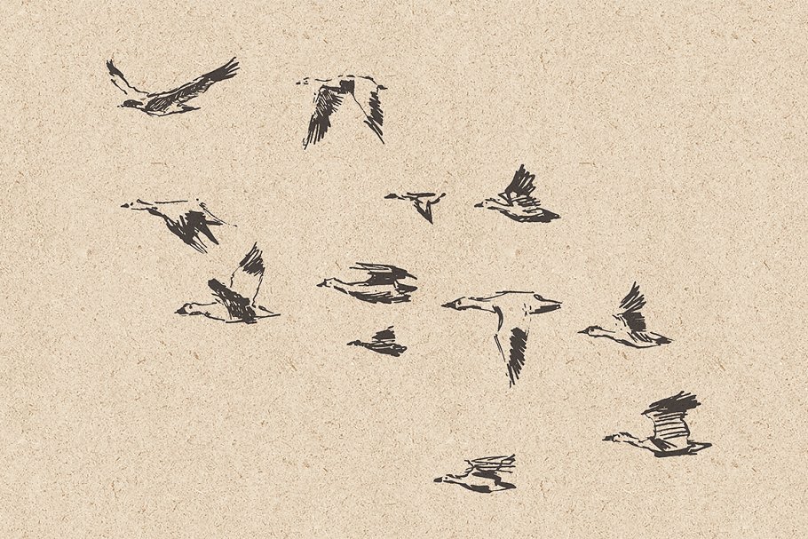 小鸟素描插画素材 Flocks of birds, sket