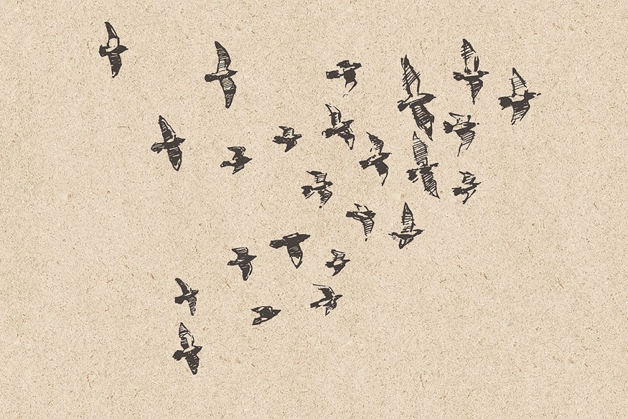 小鸟素描插画素材 Flocks of birds, sket