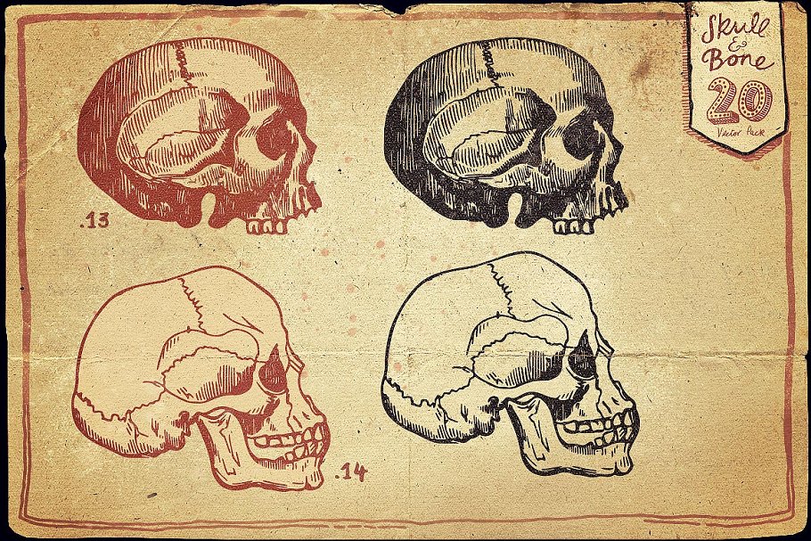 经典头骨矢量插画Skull and Bone Vector
