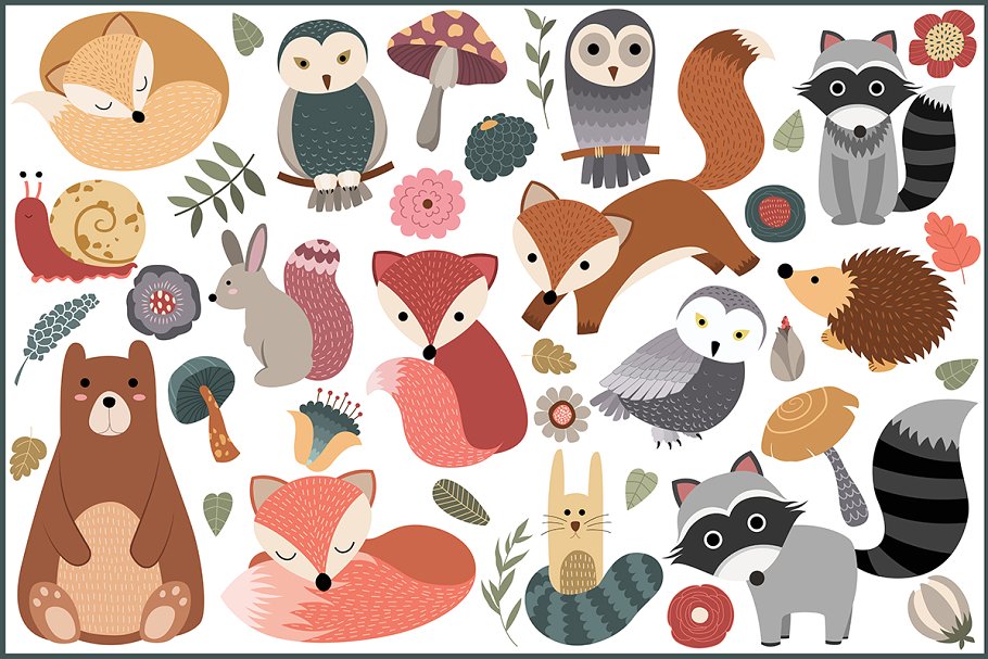 森林动物设计图案 45 Woodland Designs
