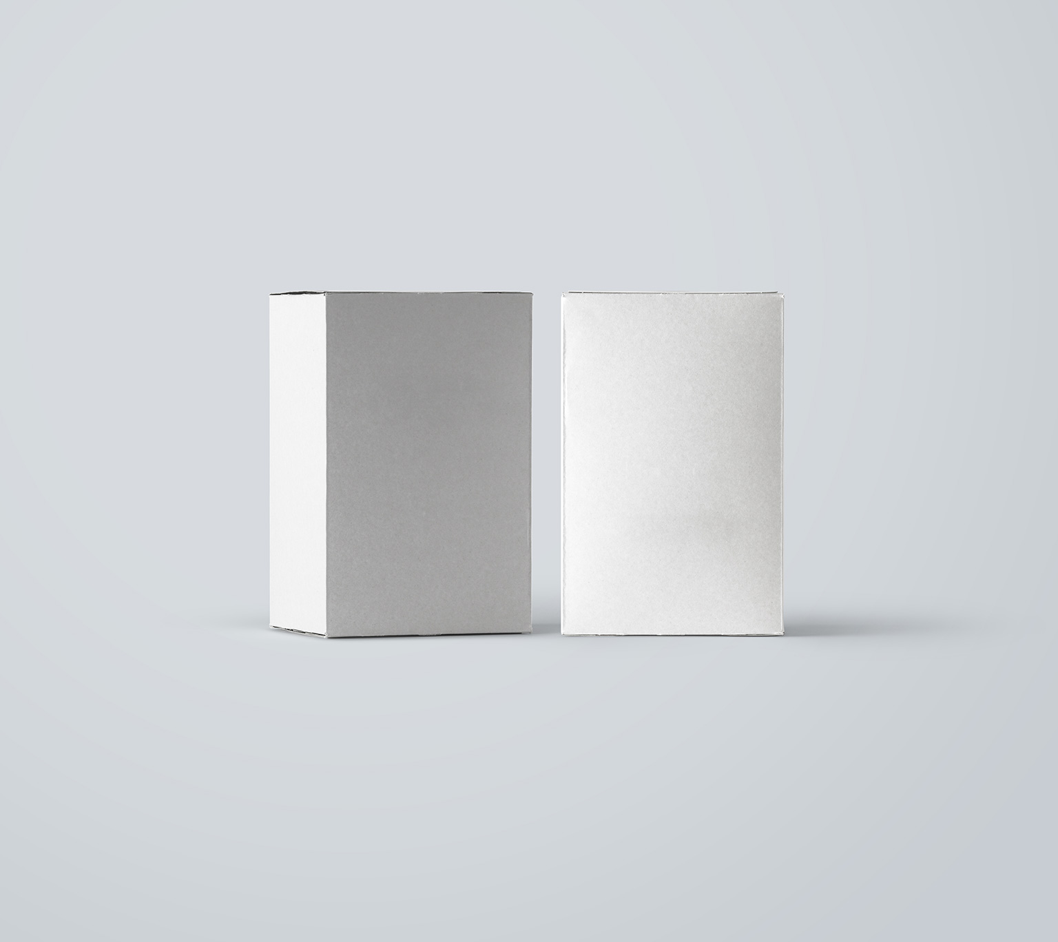 长方形包装盒产品包装提案展示PSD模板 Packaging