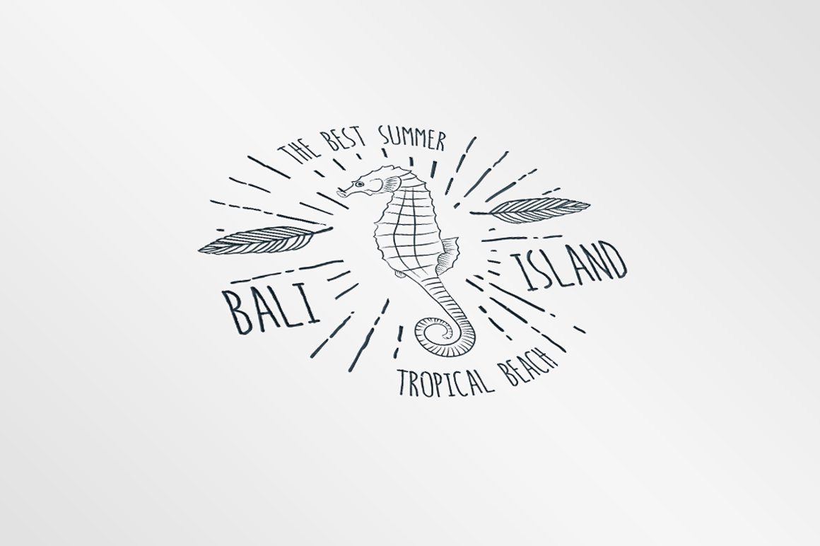 20个夏季海洋岛屿生物元素徽章插画 20 Summer Ba