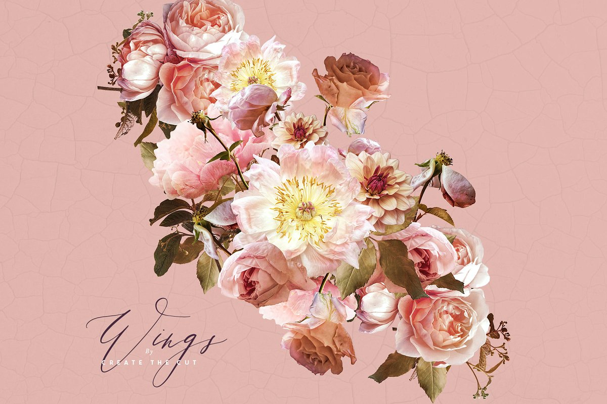 数码花卉艺术插画 Digital Flower Clip A