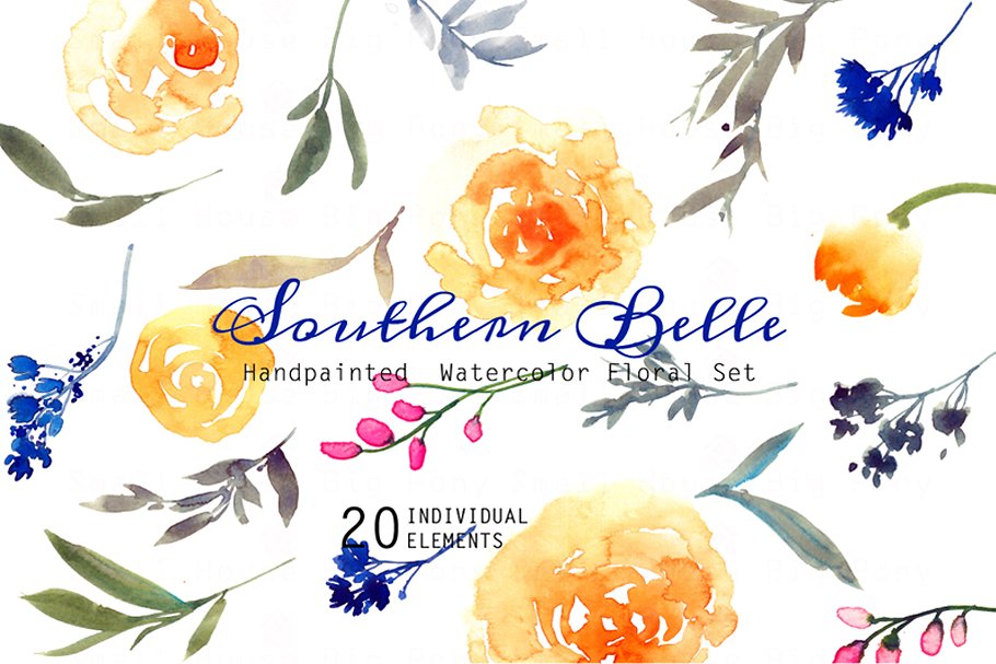 南方水彩花卉插画 Southern Belle Water