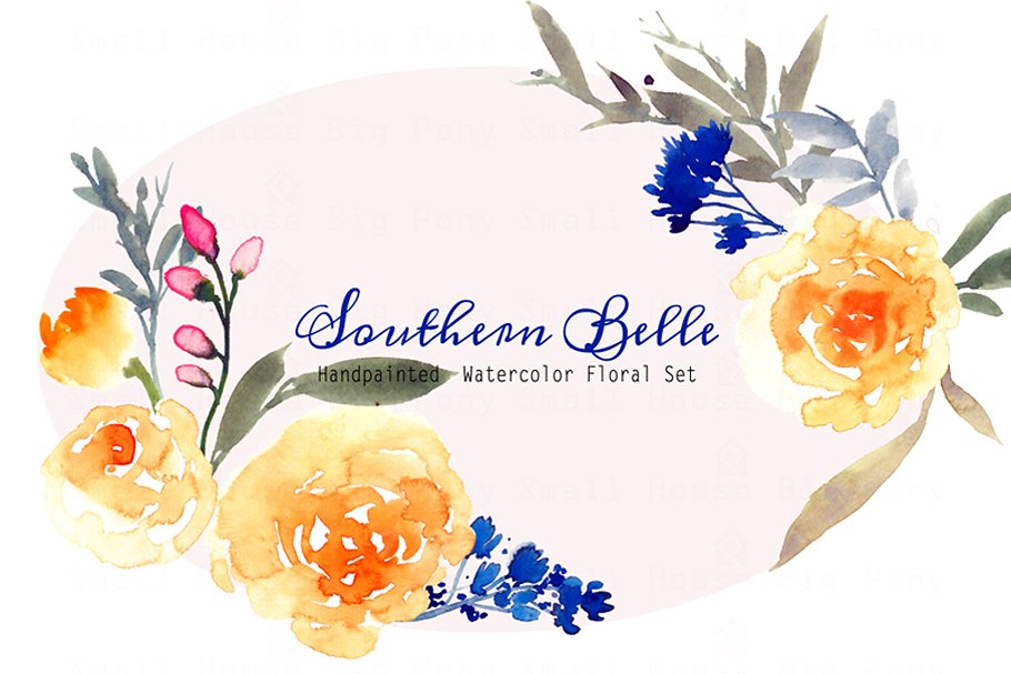 南方水彩花卉插画 Southern Belle Water