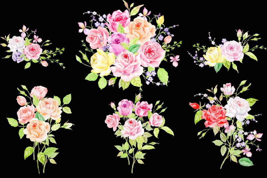 经典手绘水彩玫瑰元素合集 Watercolor Classi