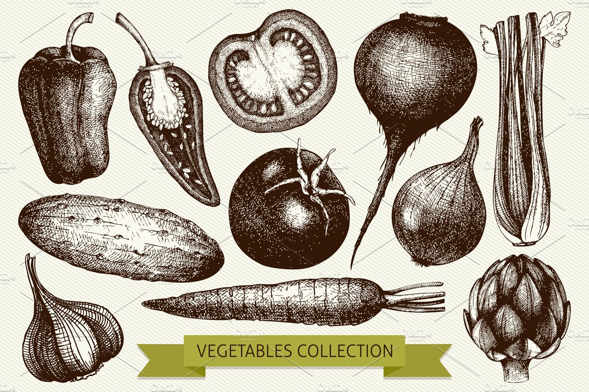 复古风格蔬菜插画素材 Vintage Vegetables