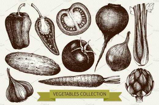 复古蔬菜素描素材插画集 Vintage Vegetables