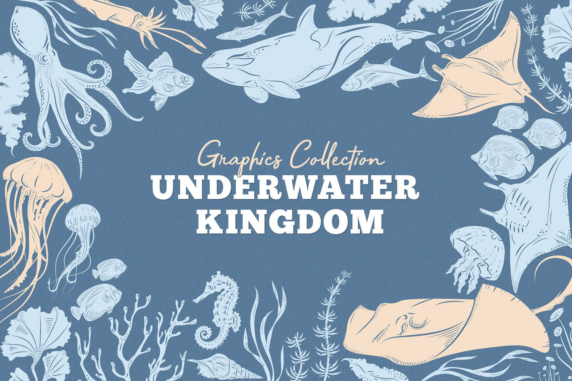 海洋动物王国插画设计工具包 Underwater Kingd