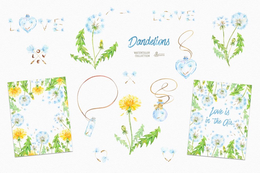 蒲公英花卉插画集 Dandelions Floral Col