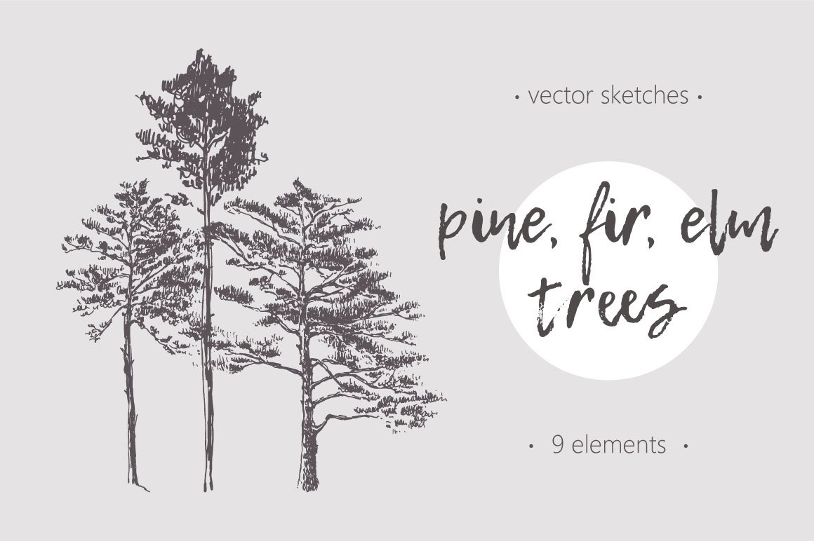 手绘树插图 Set of trees illustratio