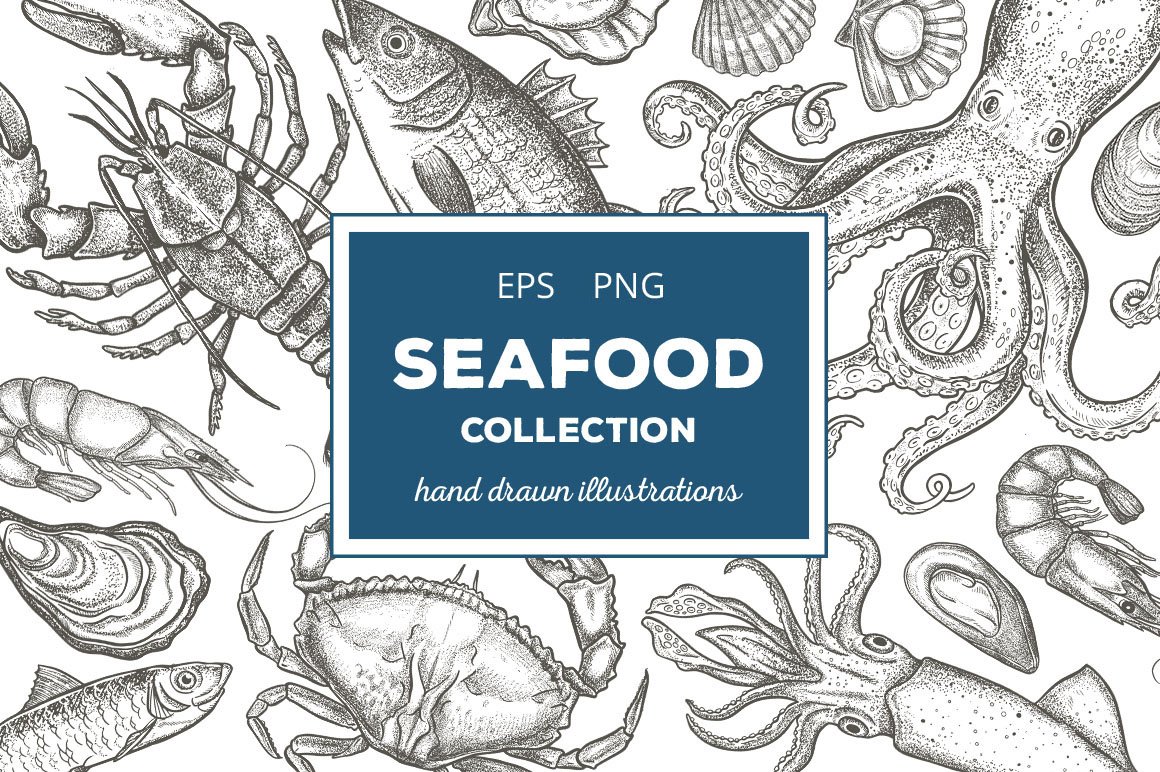 复古粗略风格的手绘海鲜插图合集 Seafood Illust