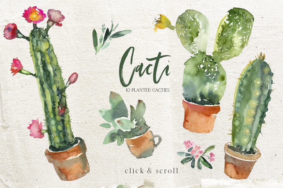 仙人掌水彩剪贴画 Cacti Watercolor Cact