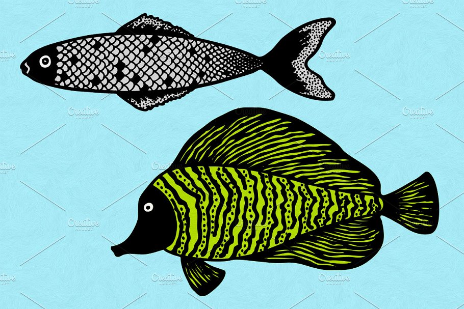 鱼类插图矢量包1 Illustrated Fish Vect