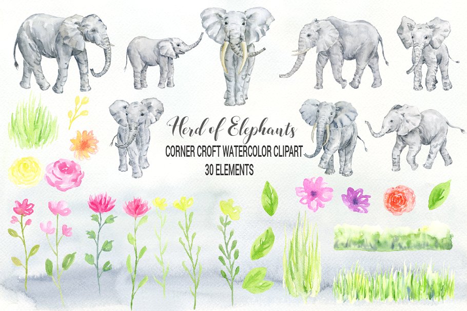 水彩群的大象 Watercolor Herd of Elep
