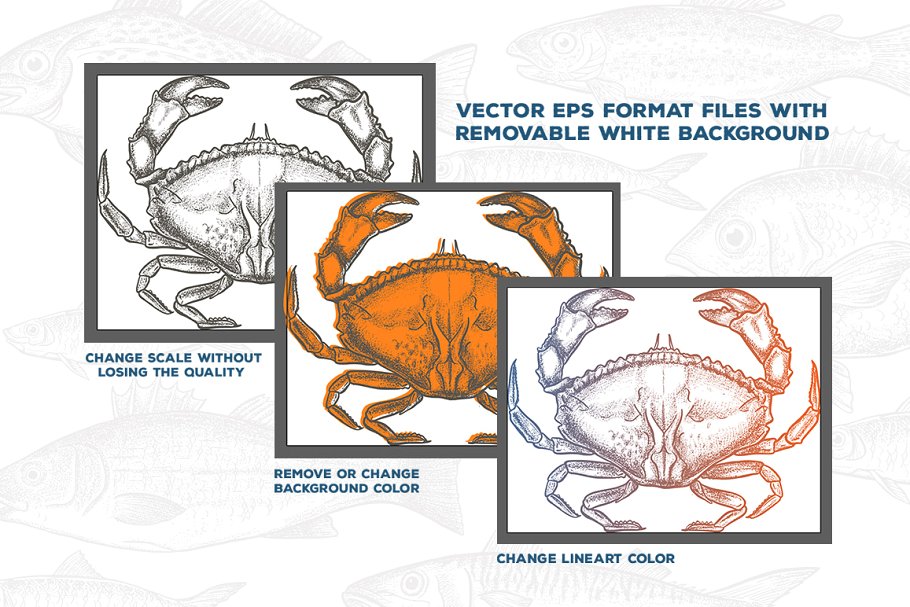 复古粗略风格的手绘海鲜插图合集 Seafood Illust