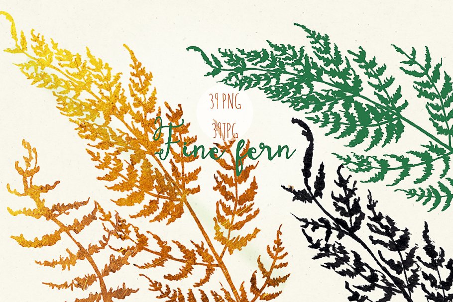 精蕨类植物水彩植物插画 Fine ferns waterco