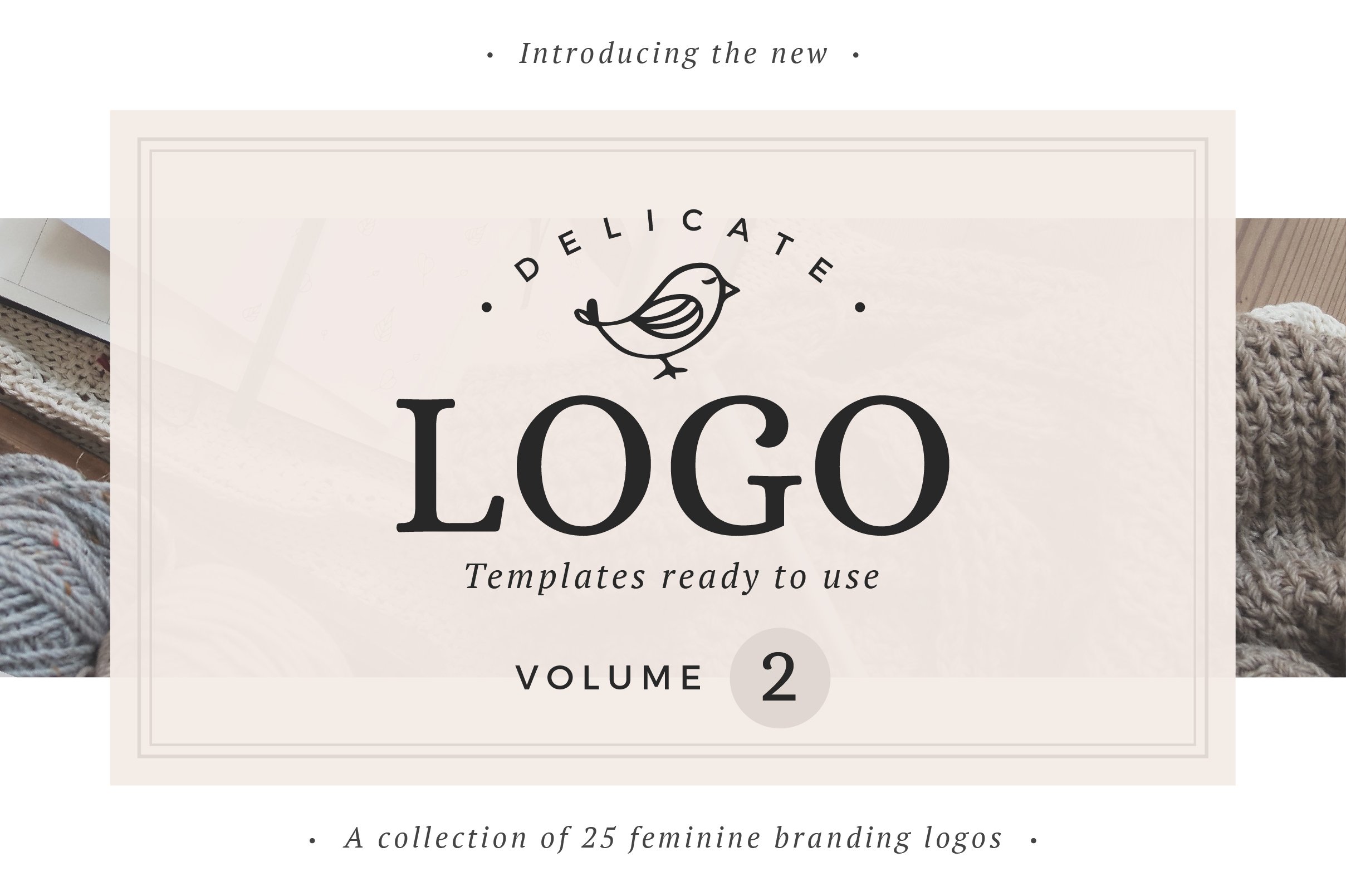 商标logo设计模板 Delicate Logos Volu