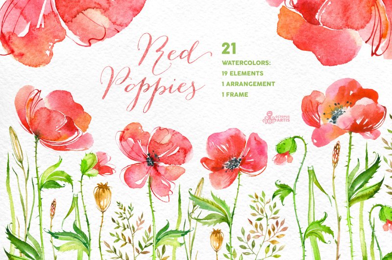手绘水彩花卉logo设计 Red Poppies. Flor