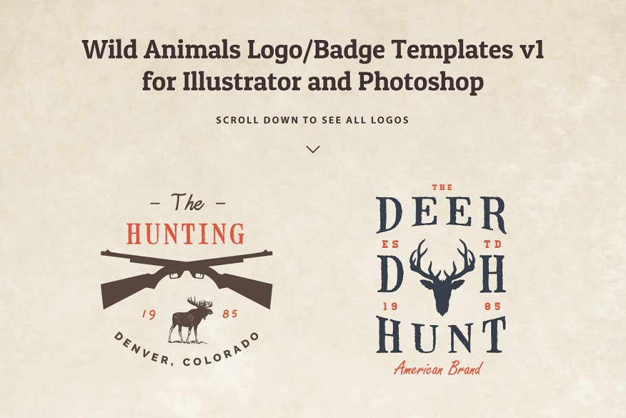 野生动物logo设计模板 Wild Animals Logo