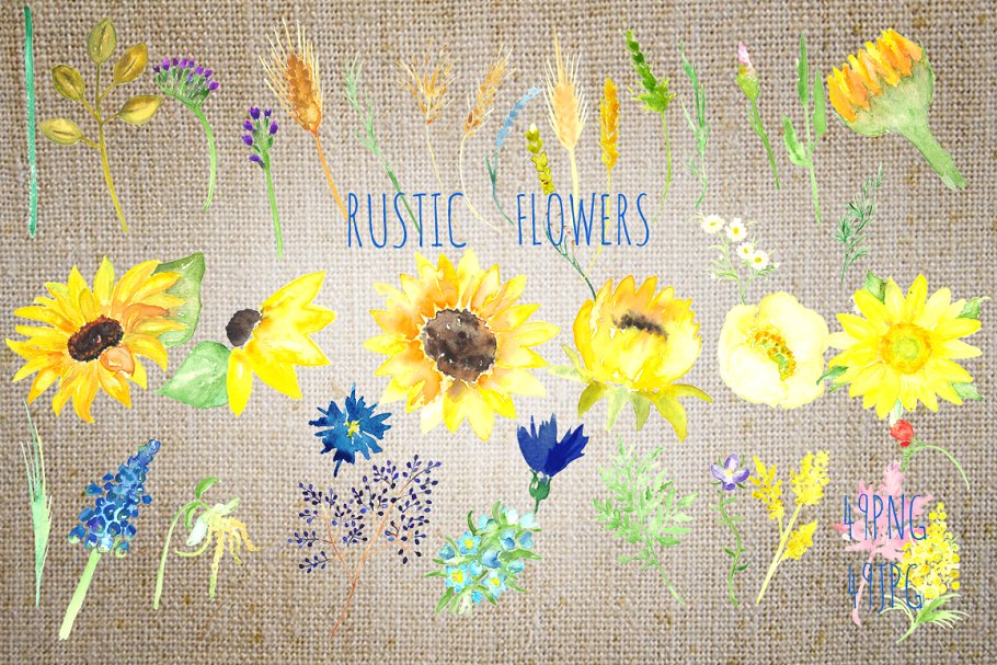 向日葵水彩logo设计 Sunflowers rustic