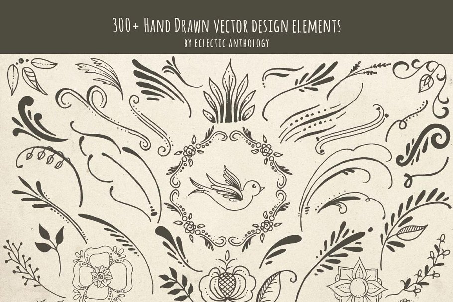 手绘植物设计元素插画 Hand Drawn Vector D