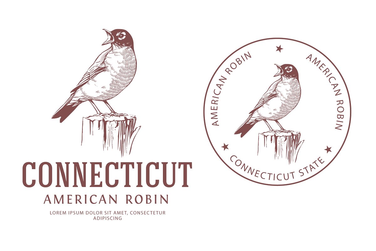 美国罗宾复古鸟标志LOGO模板American Robin