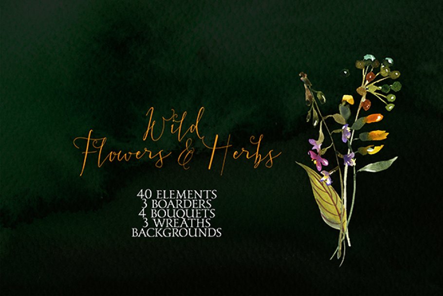 野花草本水彩花卉素材 Wild Flowers Herbs