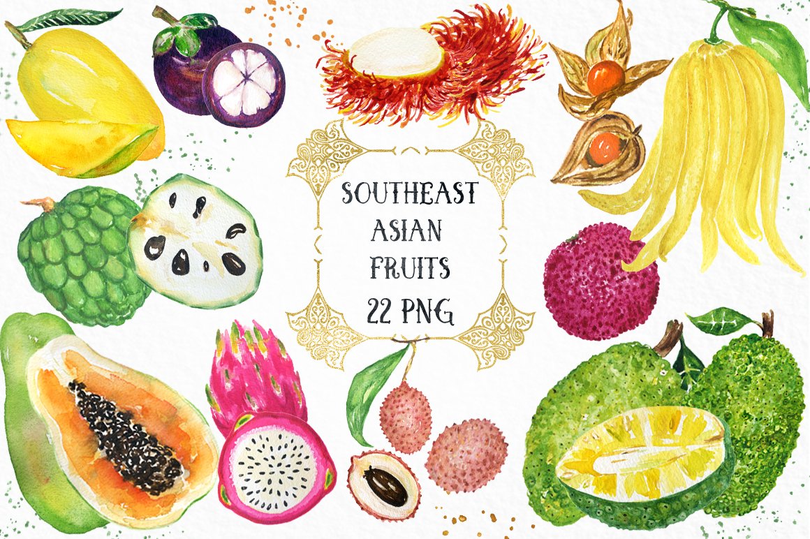 热带亚洲水果水彩画 Tropical fruits wate