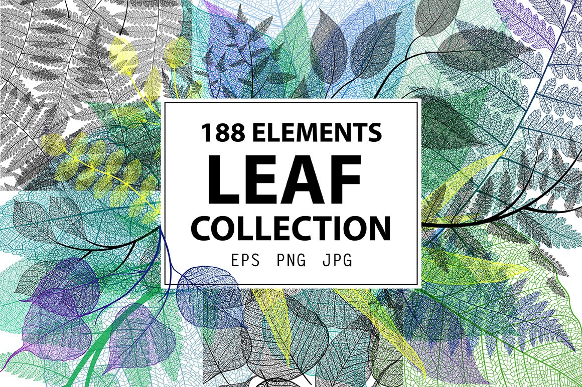 静谧的树叶树枝纹理素材Leaf Collection #20