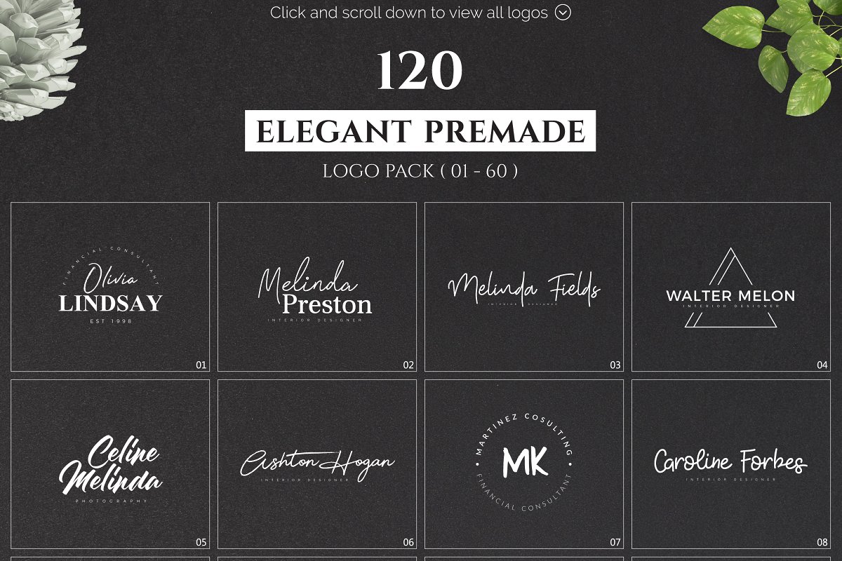 预先准备的LOGO设计预备图形素材包Elegant Prem