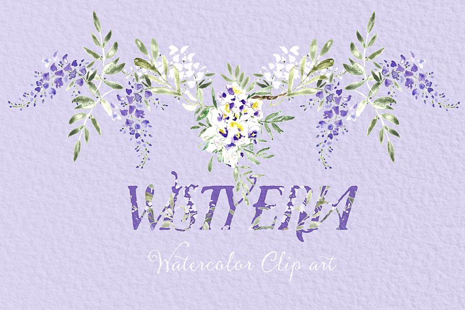 紫藤水彩画图形 Wisteria wedding water