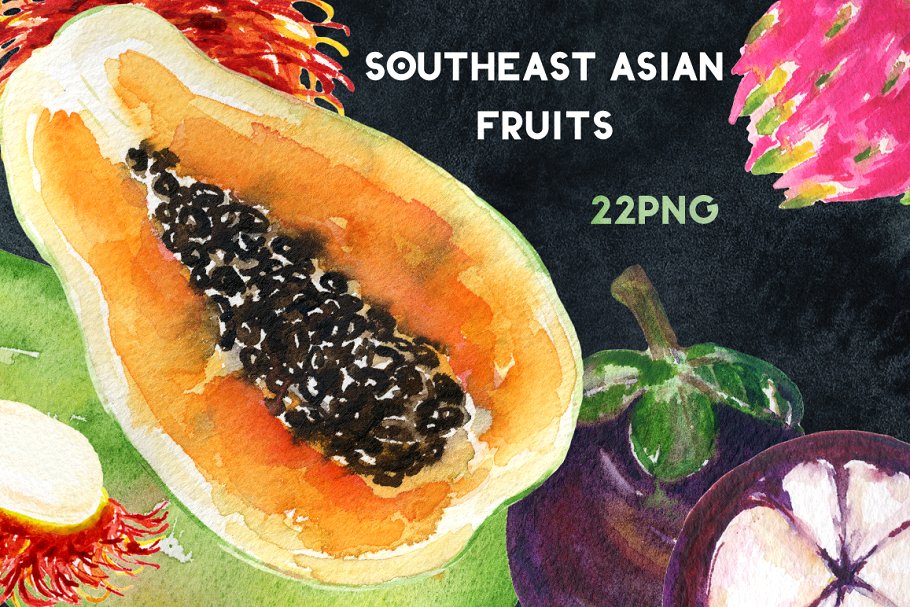热带亚洲水果水彩画 Tropical fruits wate