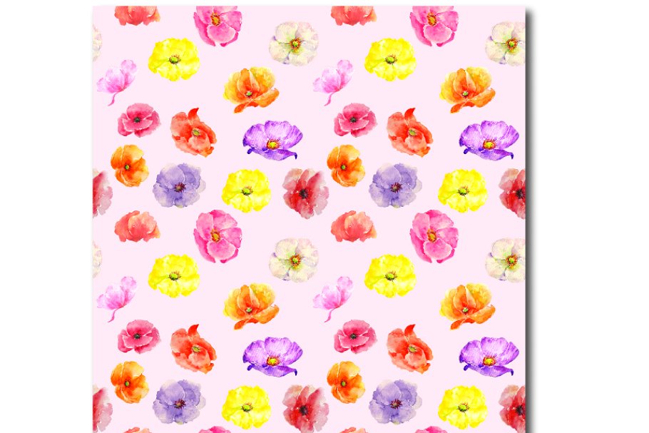 粉红色的主题水彩罂粟花图案 Watercolor Poppy