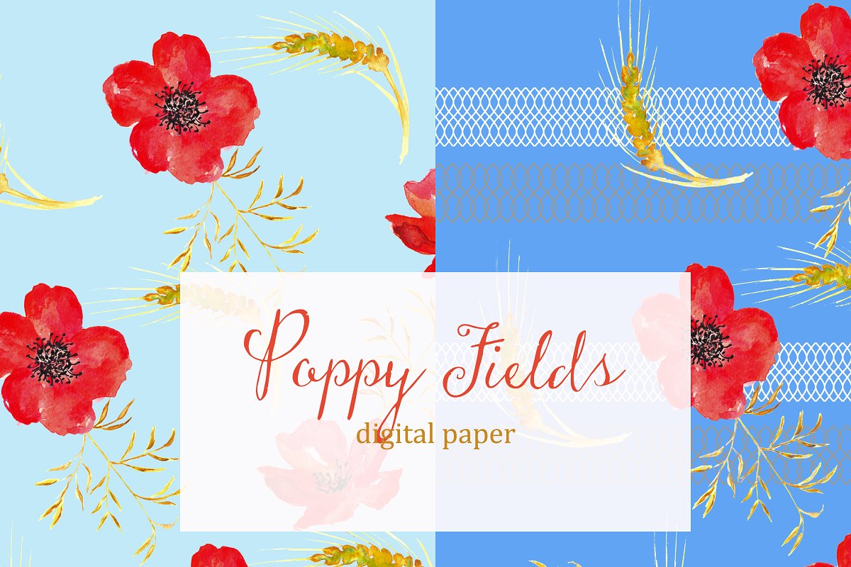 花卉图案背景纹理 Poppy fields. digital