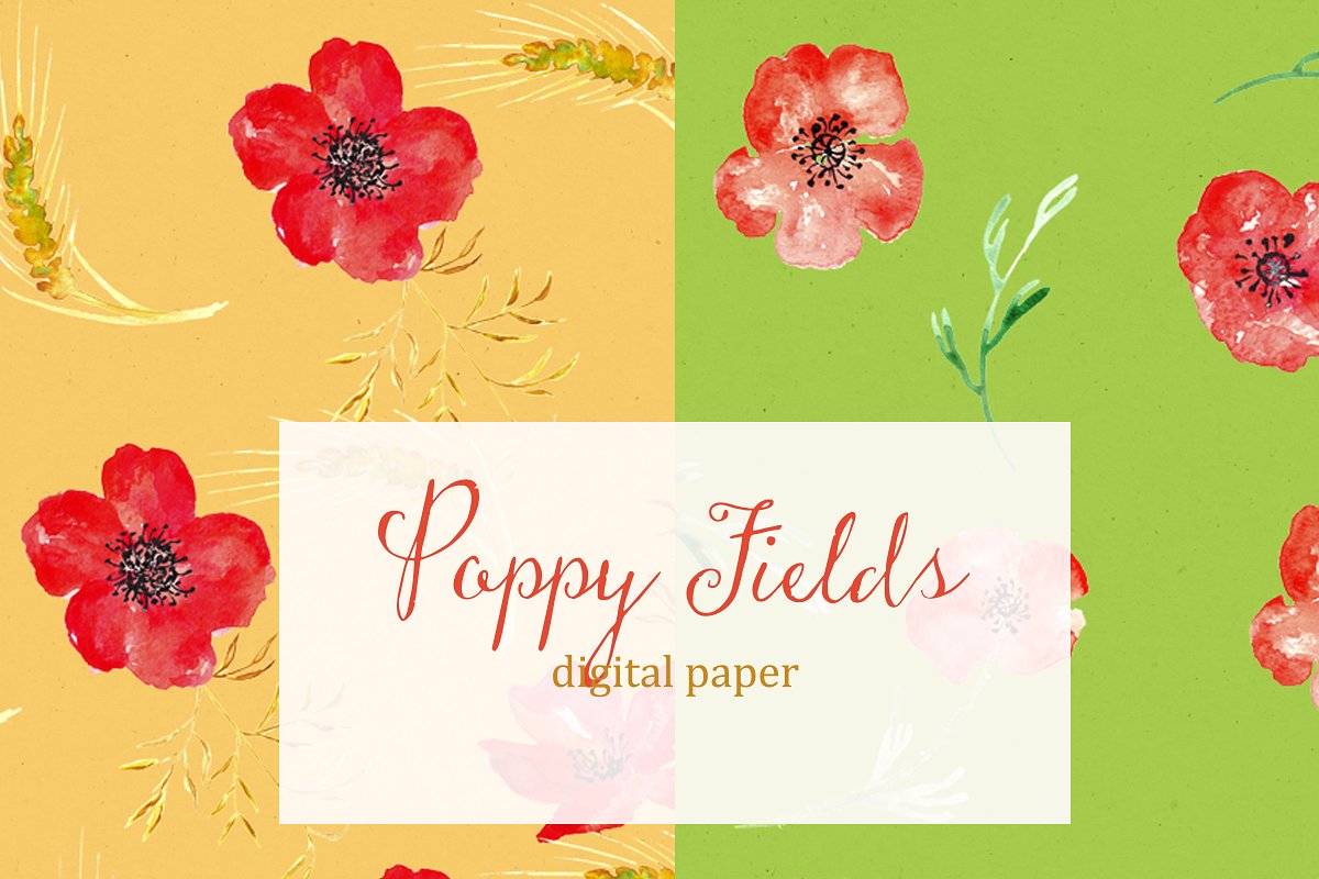 花卉图案背景纹理 Poppy fields. digital