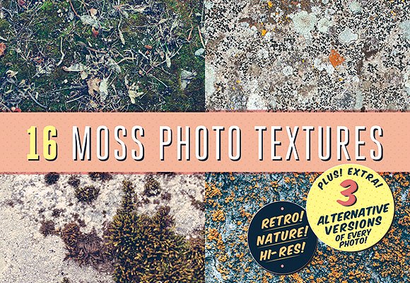 16款苔藓照片纹理 16 Moss Photo Textur