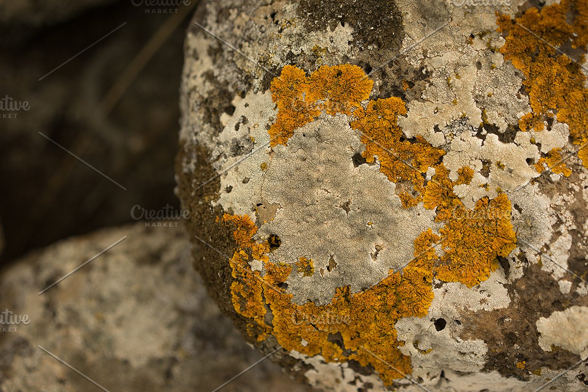 岩石背景纹理素材 Rock Solid Rock &