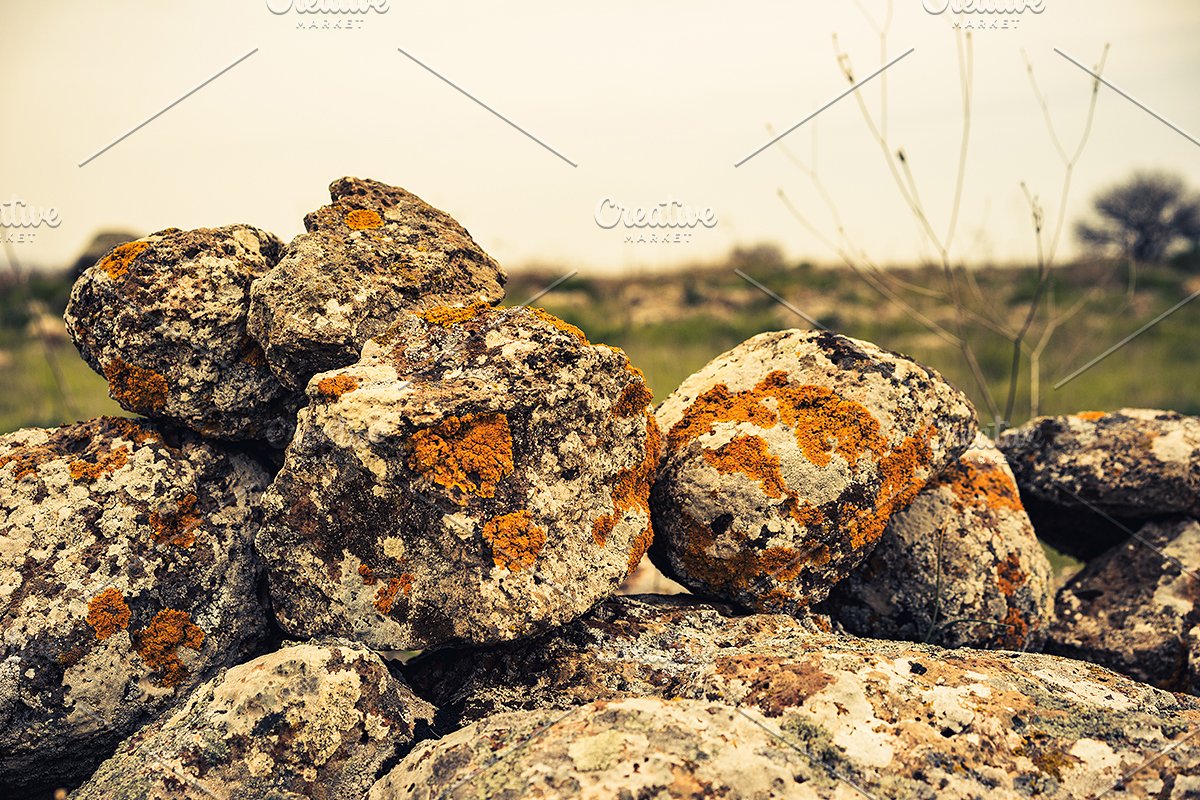 岩石背景纹理素材 Rock Solid  Rock &