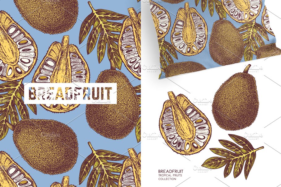 典型的热带水果植物背景纹理图案 Tropical Fruit