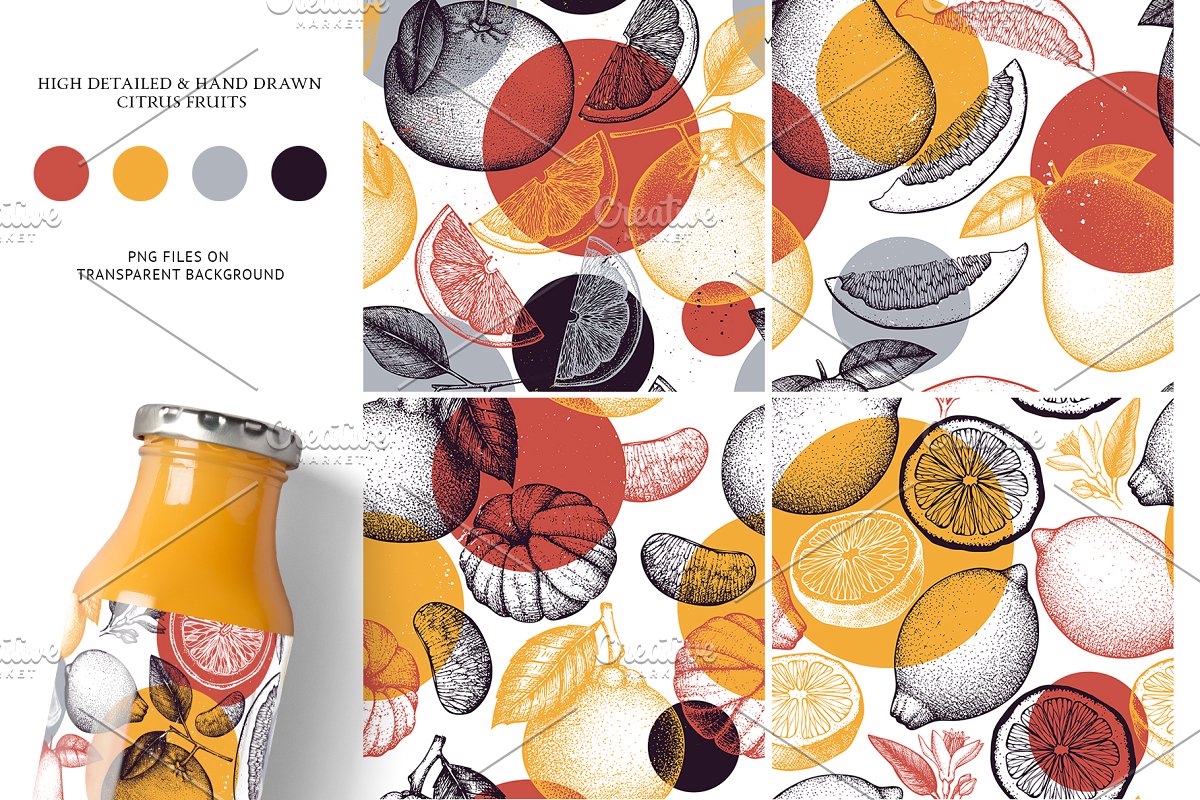 柑橘类水果图案集合 Citrus Fruits Patter