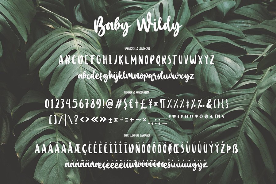 一款手绘大胆的书法英文字体 Baby Wildy Handb