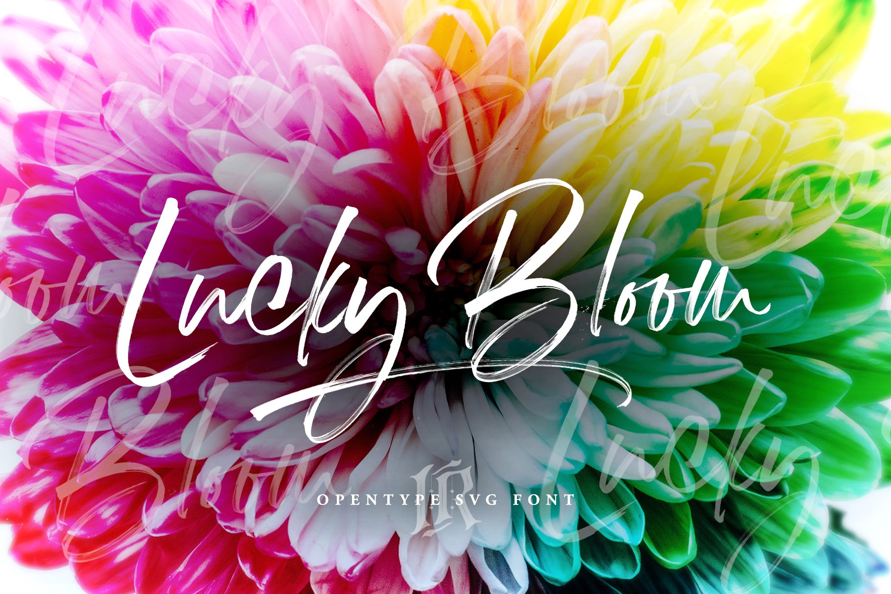 手写草书字体 Lucky Bloom SVG Font #2