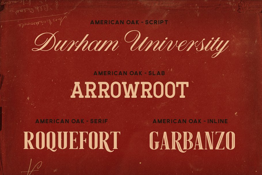 复古衬线字体 American Oak 4 Font Se