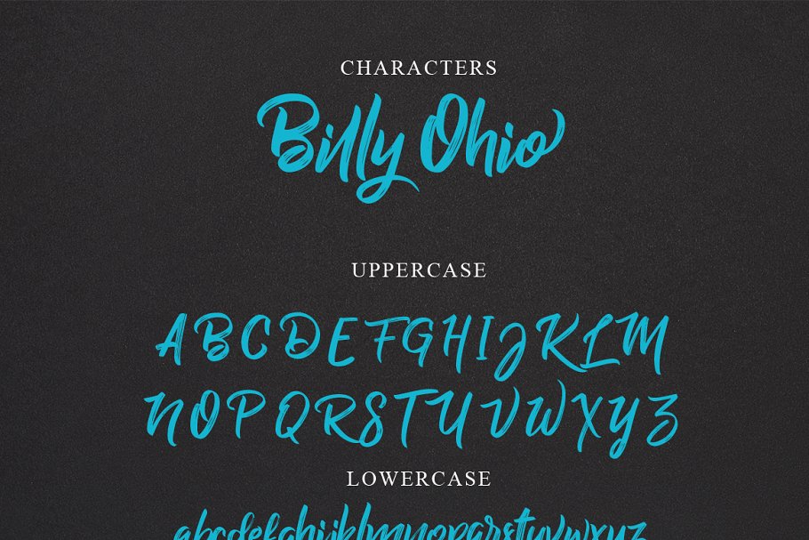 手写英文字体 Billy Ohio Typeface #13