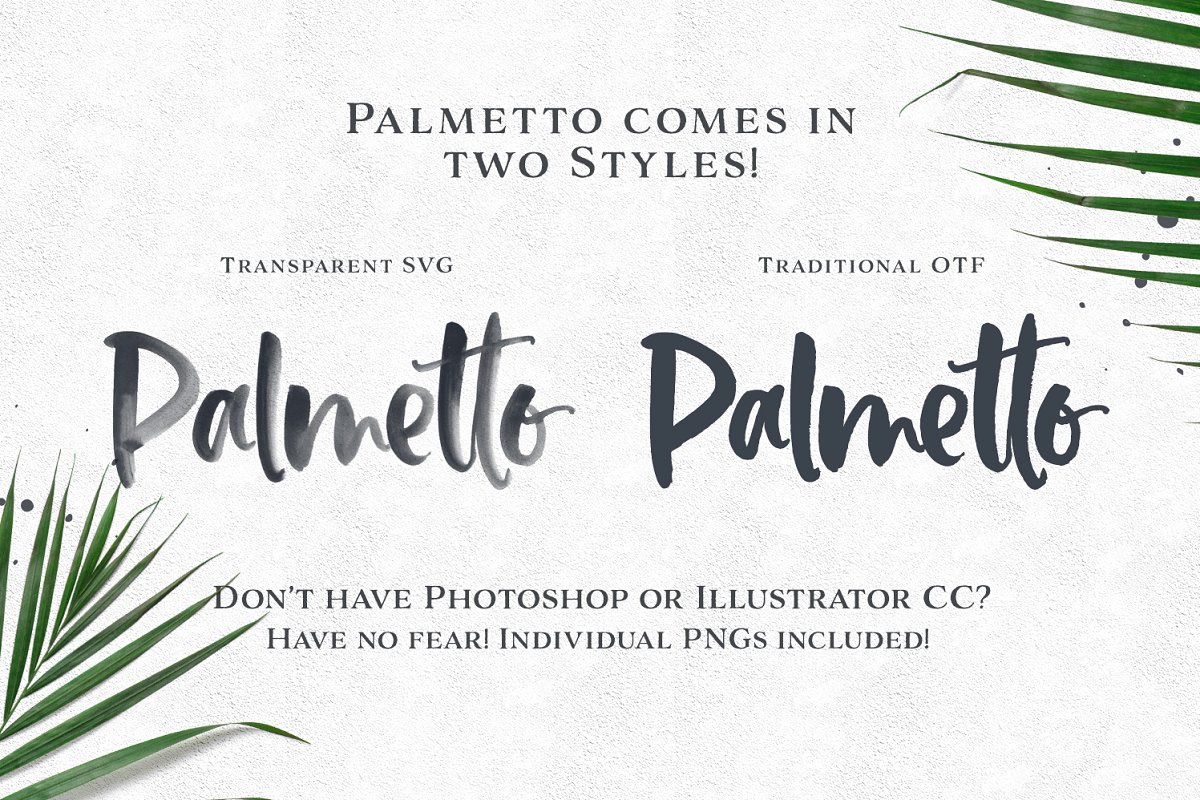 英文书法设计字体 Palmetto SVG Font #25